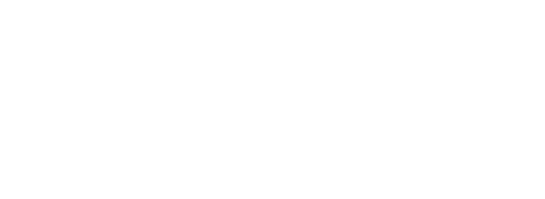 logo alex bauer wortbauer weiss